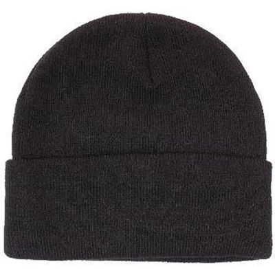 3059 Acrylic Beanie with Thinsulate Lining