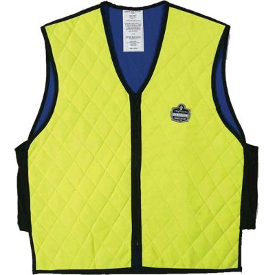 Ergodyne Evaporate Cooling Vest